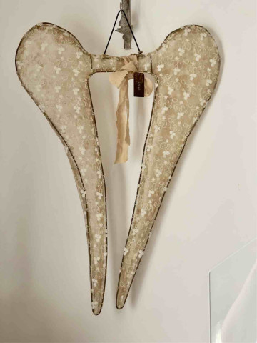 GRANDI ALI FRANCESI IN PIZZO