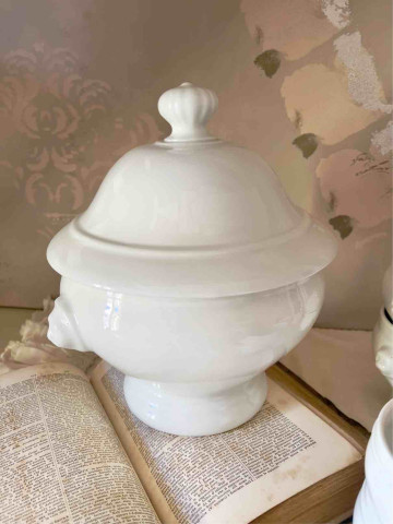 ZUPPIERA FRANCESE TETE DE LEON